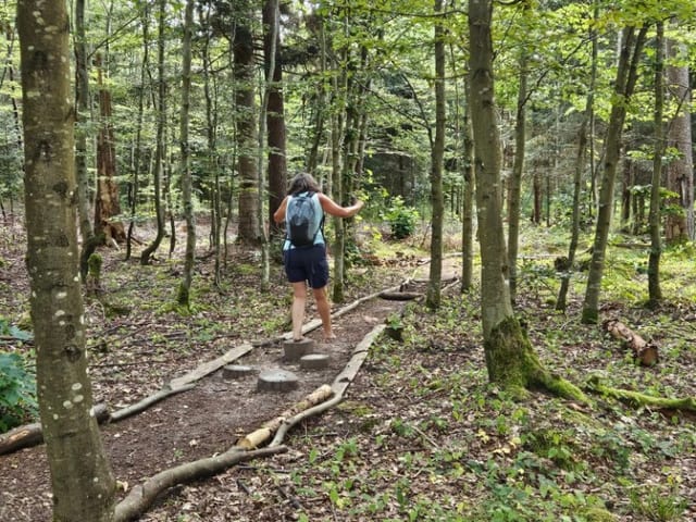 Sendero descalzo Tiefenbronn — excursión en la Selva Negra del norte