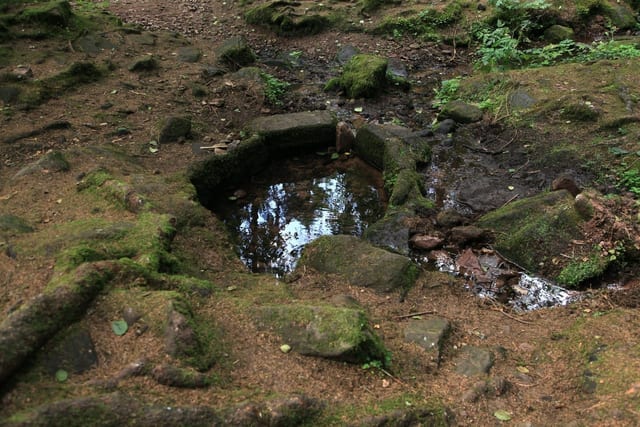 Jubiläumsweg Neuhausen — Ausflugsziel Nordschwarzwald