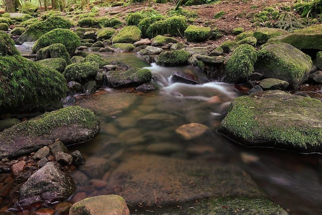 Monbachschlucht — Ausflugsziel Nordschwarzwald