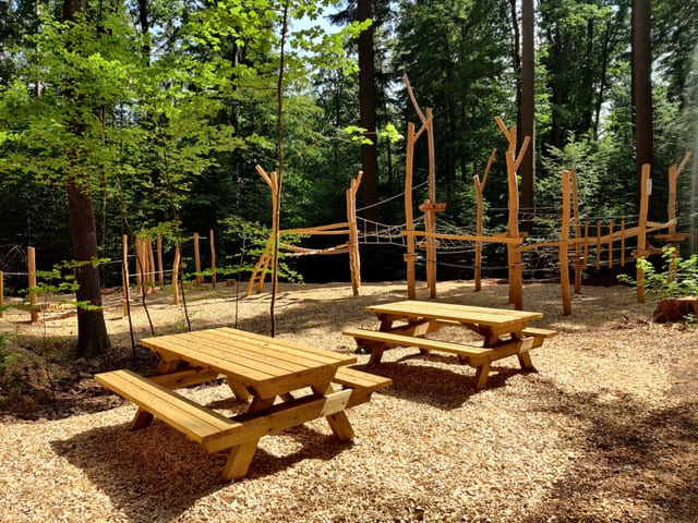Parques infantiles forestales Schellbronn — excursión en la Selva Negra del norte